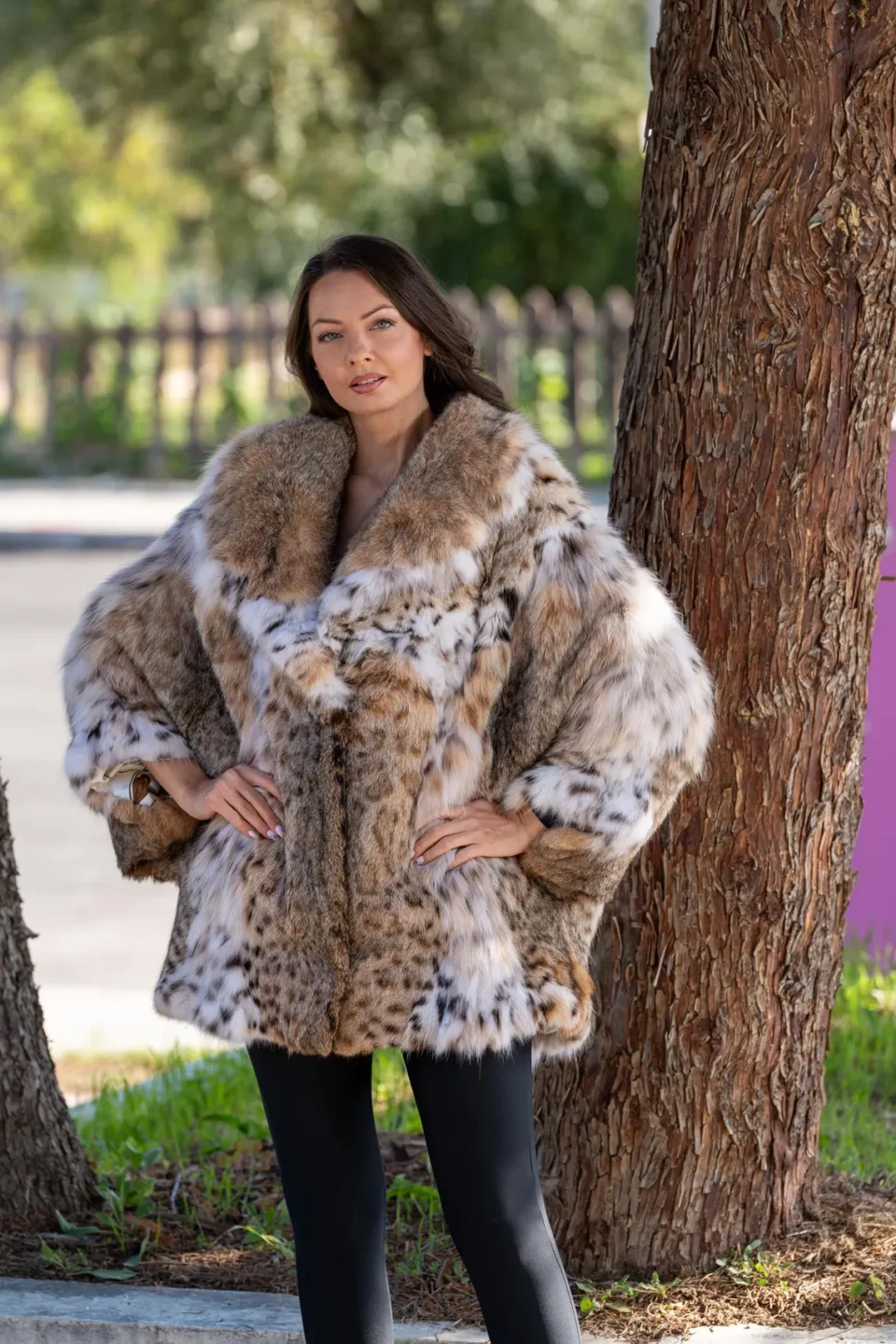 Fur Cape Lynx with English Collar Onesize