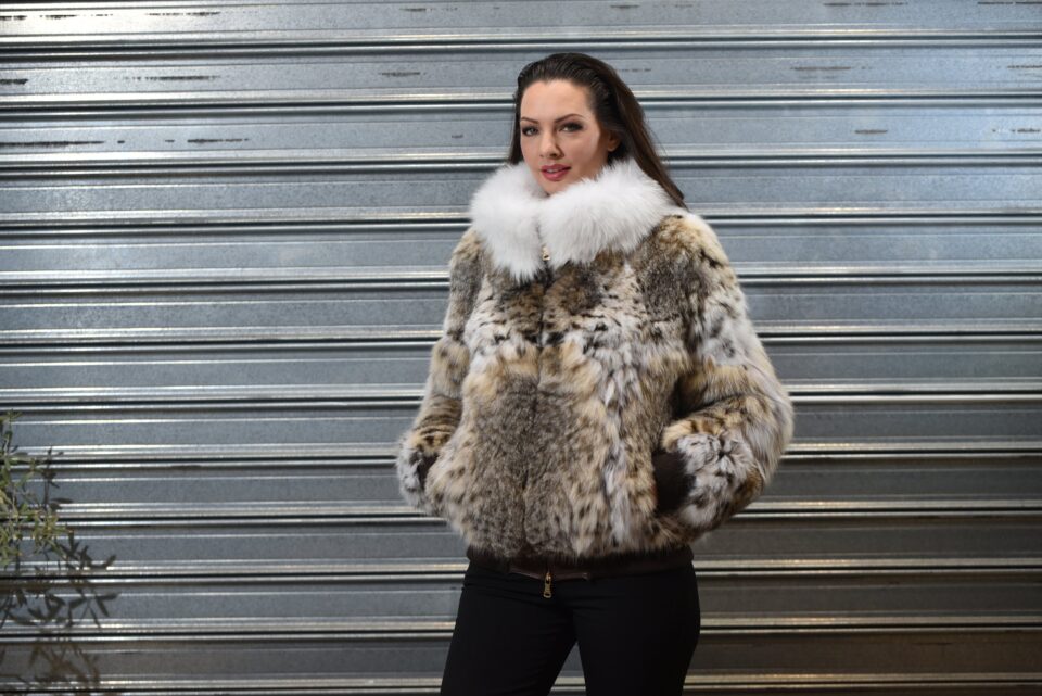 Bomber Jacket Lynx with White Collar